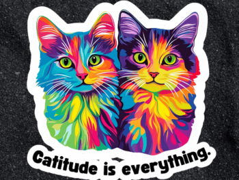 catitude is everything