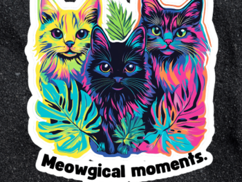 meowgical moments
