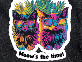 meows the time