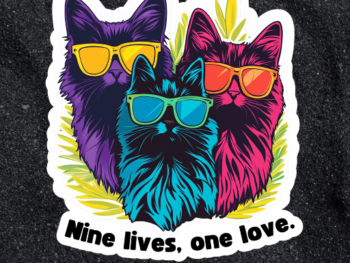 nine lives one love
