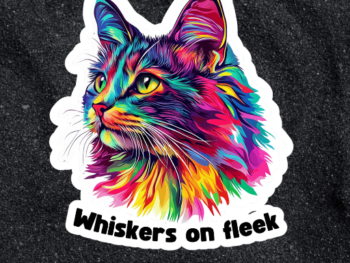 whiskers on fleek